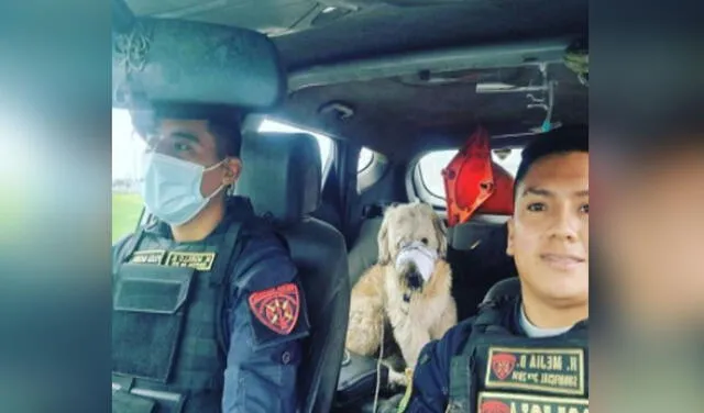 El can fue llevado al cuartel para resguardarlo mientras su dueño llegaba por él. Foto: Escuadrón de Emergencia Norte / Facebook