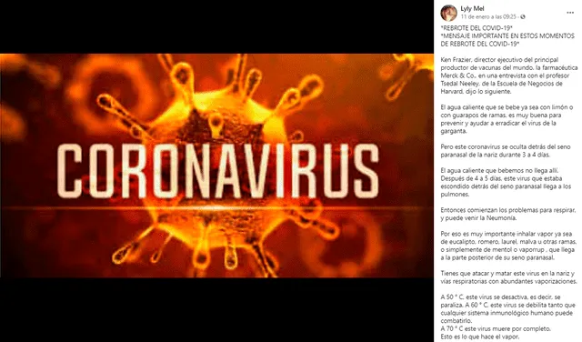 coronavirus, falso