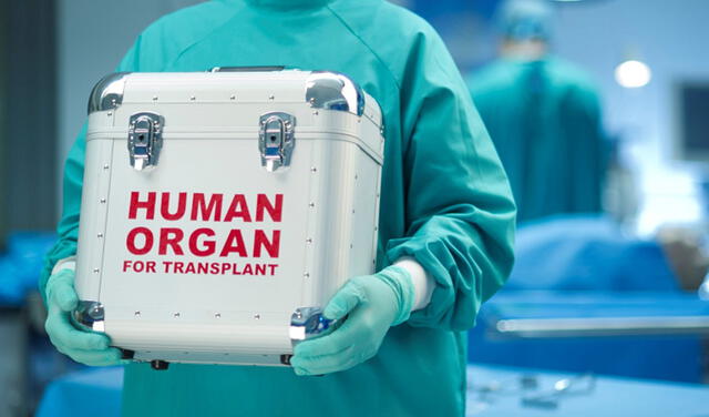 Suiza aprueba que su ciudadanía sea donante potencial de órganos