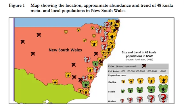 Mapa que muestra la ubicación, la abundancia aproximada y la tendencia de 48 poblaciones meta y locales de koalas en Nueva Gales del Sur. | Infografía: Parlamento de Nueva Gales del Sur.