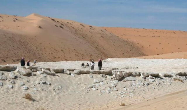 Hallan la evidencia más antigua de humanos en Arabia hace 120 000 años