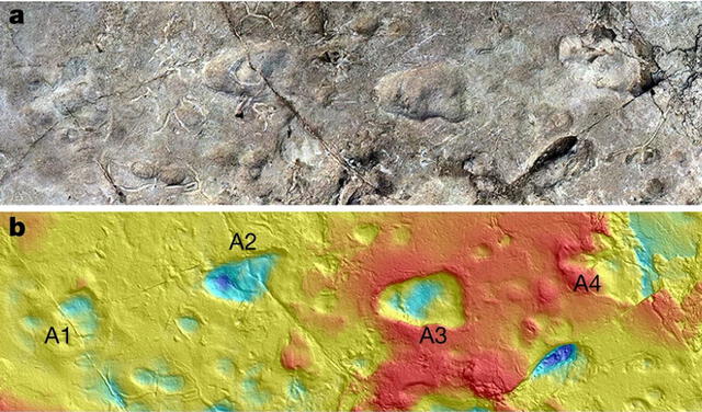 Conjunto de huellas encontradas en el sitio A (arriba) y las mismas vistas a través de un escaneo en 3D (abajo). Fotos: McNutt et al / Nature