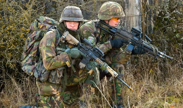 Los EU Battlegroups son las fuerzas de respuesta rápida de la Unión Europea. Foto: DVIDS