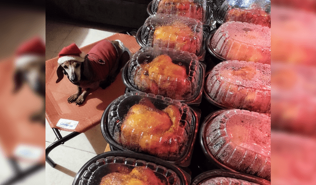Pollos rostizados listos para ser repartidos a los perritos callejeros. Foto: Escuadro Salchicha
