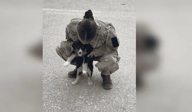 Facebook viral: Mujer soldado consuela a perrita que sufría por el robo de sus cachorros
