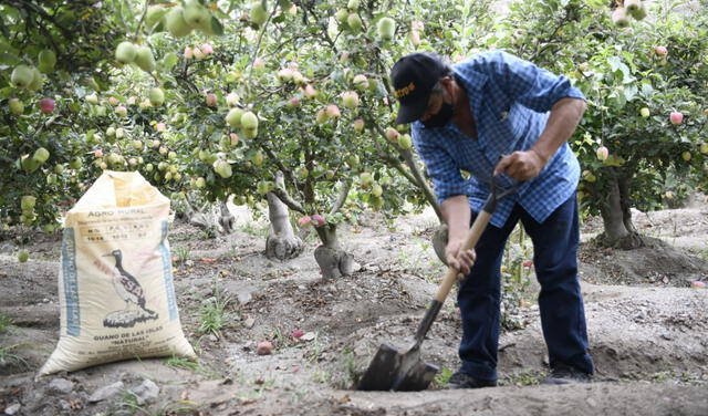Agro Rural ofreció más de 16.600 toneladas de guano de la isla a precio social a agricultores en 2021