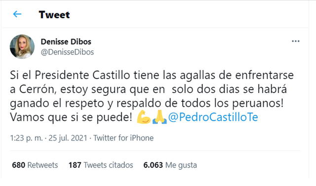 25.7.2021 | Tuit de Denisse Dibós sobre el presidente Pedro Castillo. Foto: captura Denisse Dibós / Twitter