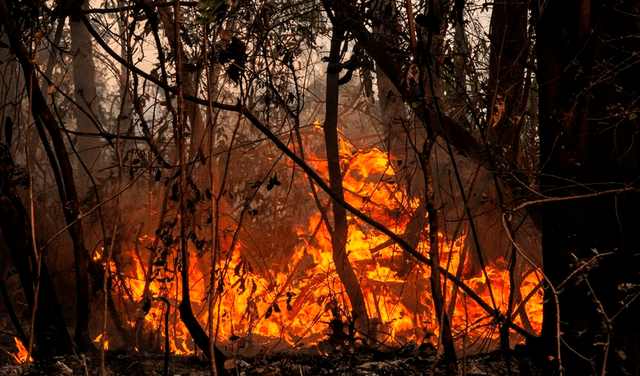 Fuego sin control: 9 focos de incendio arrasan más de 550.000 hectáreas en Argentina