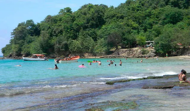 La Playa Caribe combina coloridas aguas con verde vegetación y varias comodidades. Foto: Venezuela Tuya