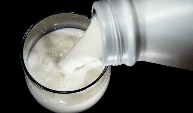 Leche Gloria: ¿qué diferencia hay entre leche evaporada y mezcla láctea? | México | Mx | USA