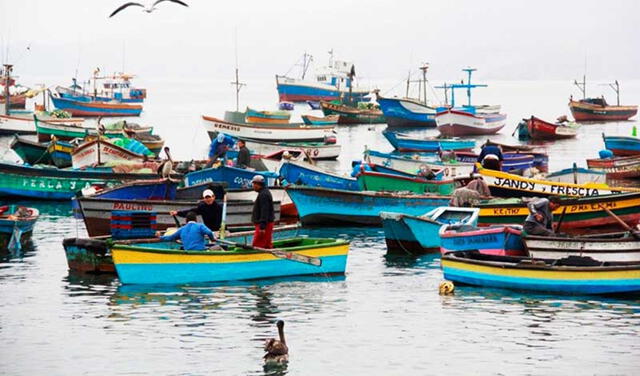 Produce identificó a más de 2.500 pescadores artesanales afectados por derrame de petróleo