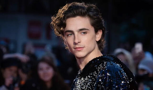 Timothée Chalamet actuó en Interestelar, pero saltó a la fama por su papel en Llámame por tu nombre. Foto: Gtres