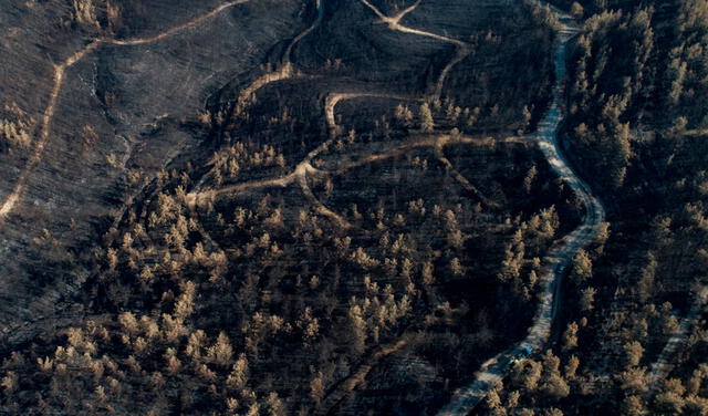 Miles de hectáreas de bosques fueron destruidas por el fuego. Científicos sostienen que sin duda el cambio climático está provocando este tipo de eventos climáticos más extremos. Foto: EFE