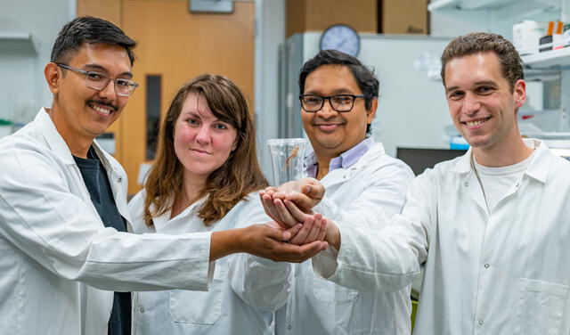 El equipo de científicos de la Universidad Estatal de Michigan (EE. UU.) posa con una langosta en un frasco. Foto: Derrick L. Turner