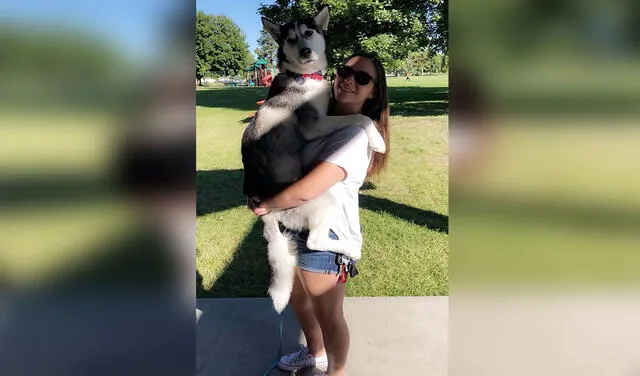 YouTube viral: perros se emocionan al reencontrarse con su dueña en casa después de 8 meses