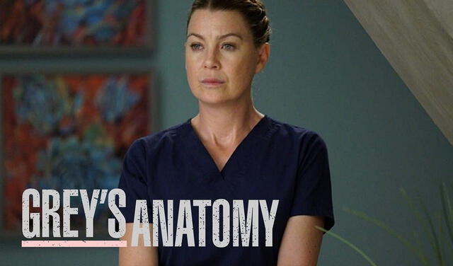 Grey's anatomy continuará su historia protagonizada por Ellen Pompeo. Foto: ABC