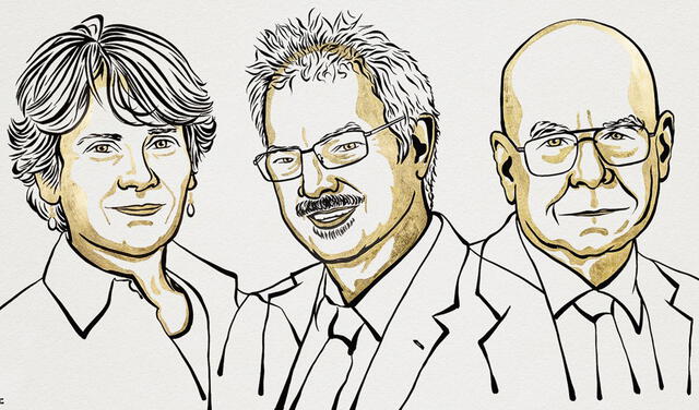 El Premio Nobel de Química será compartido por tres investigadores en el campo de la química click y biortogonal. Foto: Niklas Elmehed