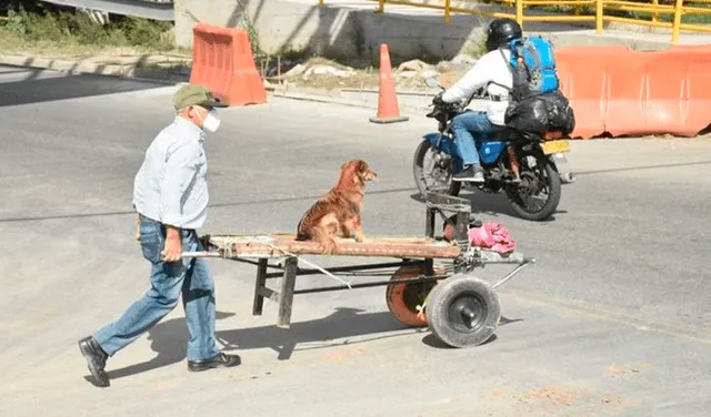 Hombre sale a trabajar acompañado de su perrita montada en una carreta