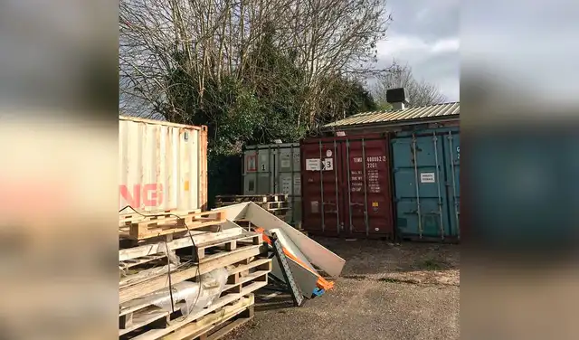 Facebook viral: gatita sin hogar se refugia en nido de aves junto a sus crías recién nacidas Facebook viral: gatita sin hogar se refugia en nido de aves junto a sus crías recién nacidas