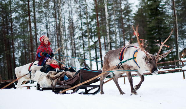 Los renos de Papá Noel provienen de la región finlandesa de Laponia. Foto: AFP