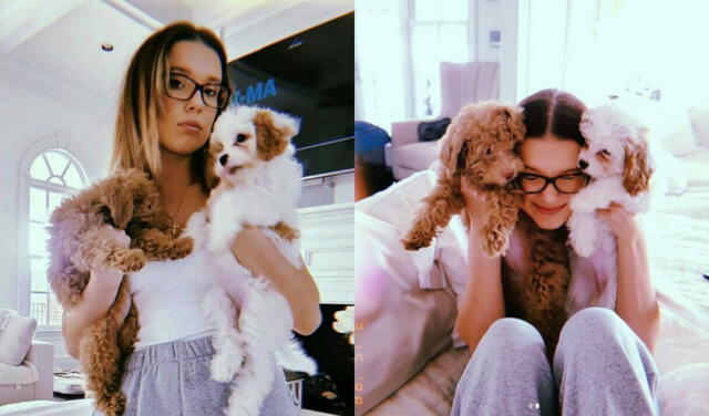 Millie Bobby y su cachorro