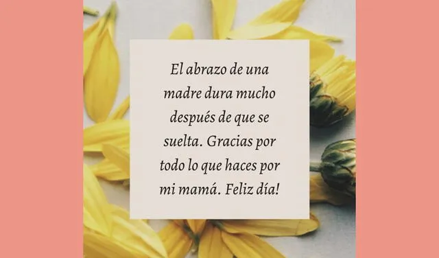 Imágenes y frases para el Día de la Madre. Foto: difusión