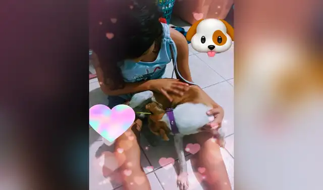 Niña dibuja a su perro en una carta para pedir que la ayuden a encontrarlo