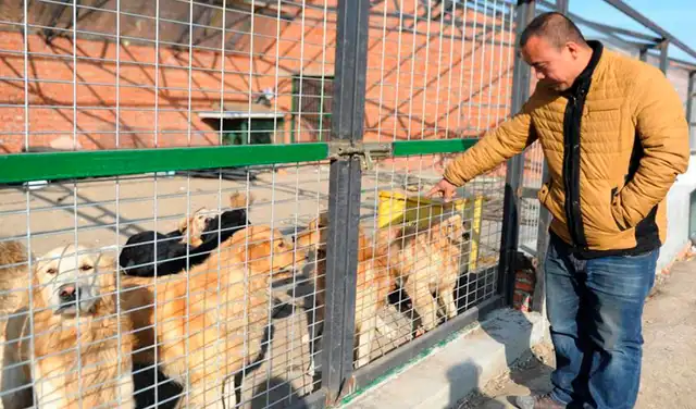 Facebook viral: hombre gasta su fortuna para crear un refugio y salvar a perros callejeros