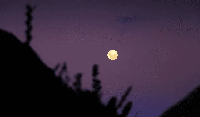 Descubre dónde ver la luna rosa hoy, sábado 16 de abril. Foto: Pxhere