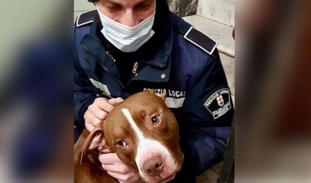 Facebook viral: Policía consuela a perro que dejaron abandonado en la puerta de un edifico