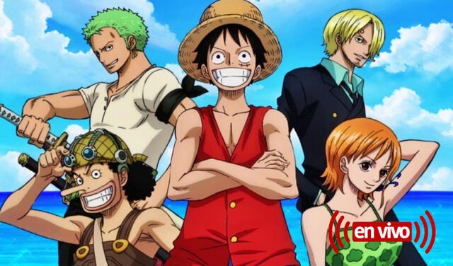 One Piece. Foto: 4Kids