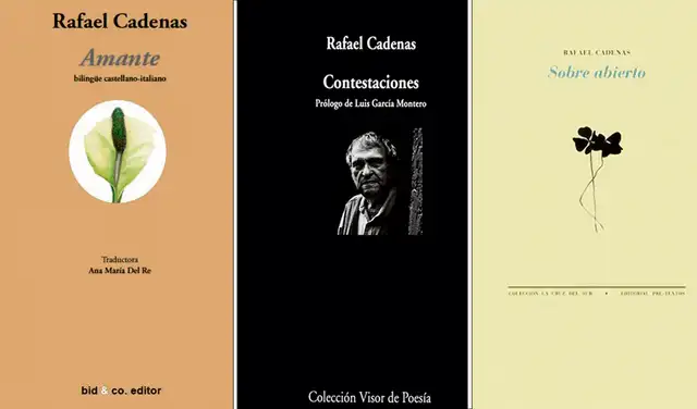 Entre sus libros publicados se cuenta Amante, Los cuadernos del destierro, Contestaciones, Falsas maniobras, En torno a Basho y otros asuntos y Sobre abierto. Entre sus libros publicados se cuenta Amante, Los cuadernos del destierro, Contestaciones, Falsas maniobras, En torno a Basho y otros asuntos y Sobre abierto.