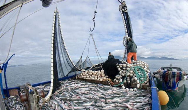 INEI: producción del sector pesca creció más de 13% en noviembre del 2021