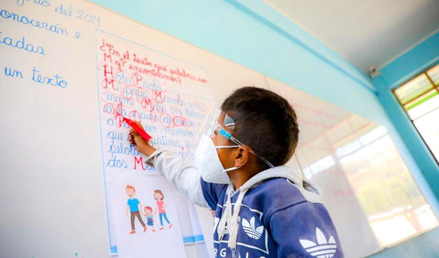¿Cuál es la situación de los alumnos en el Perú, según el Ministerio de Educación?