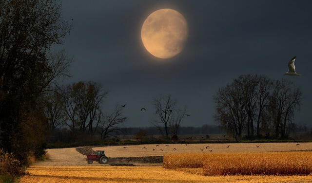 La luna de cosecha es la luna llena que ocurre más cerca del comienzo del otoño. Foto: NASA