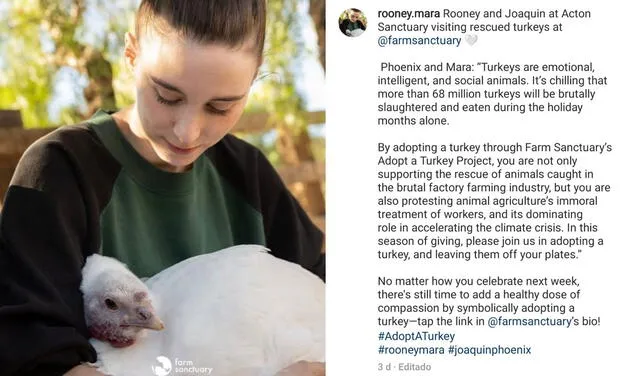 17.11.2021 | Post de Joaquin Phoenix y Rooney Mara pidiendo no comer pavo. Foto: captura Rooney Mara/Instagram