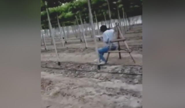 Trabajadora almuerza en medio del campo. Empresa no ofrece un lugar adecuado. Foto: captura de La Lupa