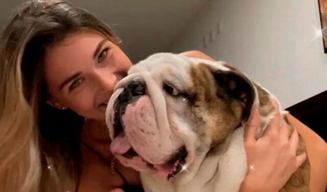 México: joven denuncia que llevó a su perro a la veterinaria y se lo entregaron muerto