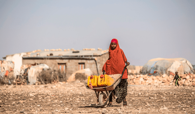 Crisis alimentaria en África empeora debido al conflicto entre Rusia y Ucrania.