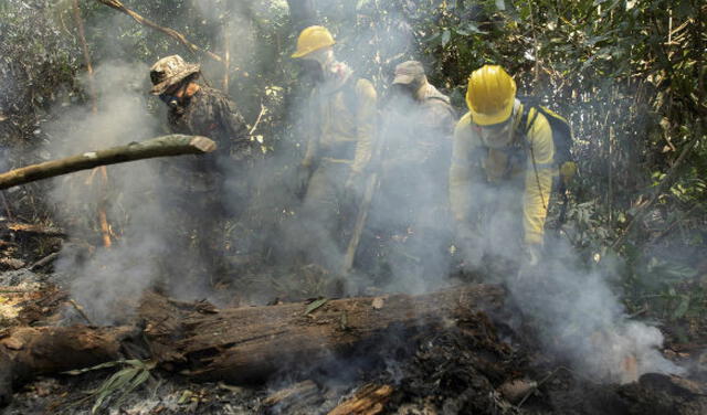 Amazonia pierde millones de toneladas de carbono debido a la deforestación