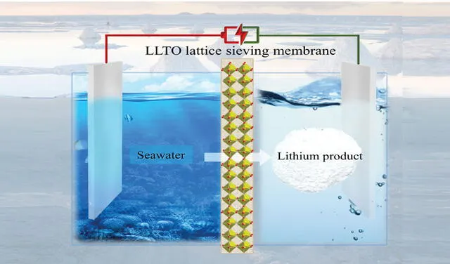 La celda electroquímica separa los iones de litio del agua de mar y, al mismo tiempo, produce valiosos gases de hidrógeno y cloro. Imagen: Li et al.