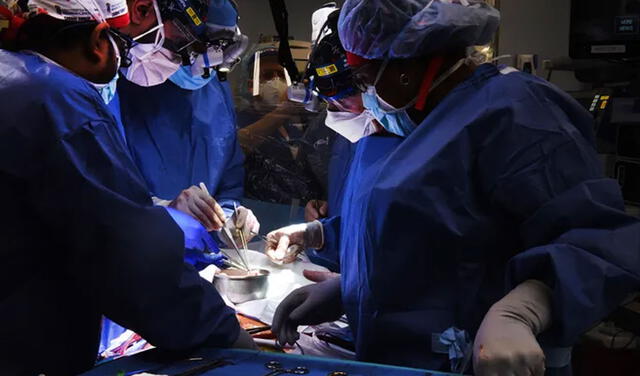 Cirujanos durante el trasplante de corazón de cerdo al paciente. Foto: Centro Médico de la Universidad de Maryland