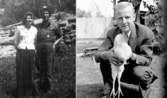 Lloyd Olsen y Clara Olsen fueron los dueños de Mike, el pollo que vivió 18 años sin cabeza