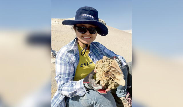 Diente de megalodón encontrado por la paleontóloga Diana Ochoa en Sacaco, Arequipa. Foto: Lucero Reyes / La República   