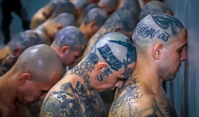  Mara Salvatrucha es una organización internacional de pandillas criminales cuyas actividades incluyen violación, narcotráfico, extorsión, secuestro y asesinatos. Foto: AFP    