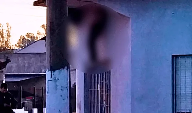  El ladrón estuvo tres horas atascado en la ventana. Foto: TN   