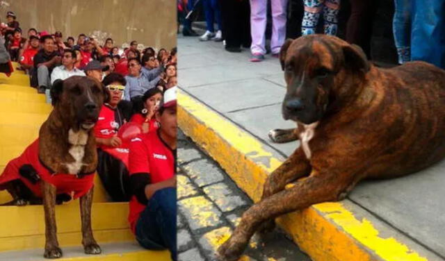  Scooby acompañó muchas veces a los hinchas del Melgar. Hoy ya no está más. Foto: composición LR   