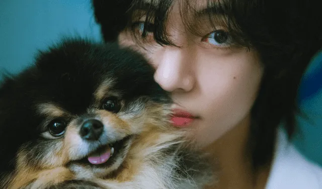Taehyung es 'doglover'. Foto: Hybe 