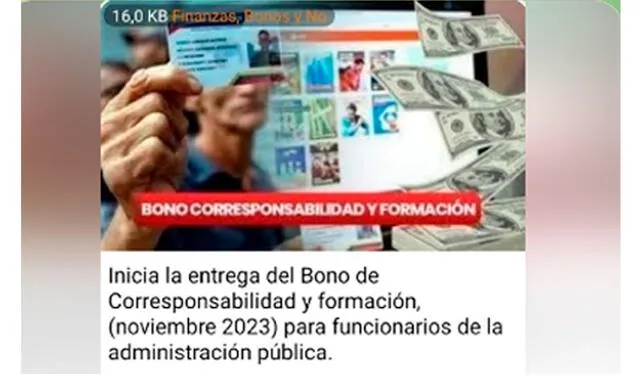 Ya se pagó el Bono de 100 dólares en Venezuela. Foto: composición LR/Canal Patria.   