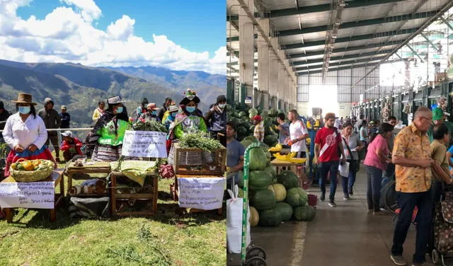 En Huancavelica, a diferencia de Lima, existe una amplia producción local, lo cual hace más accesibles diversos alimentos. Foto: composición LR/Andina/difusión   